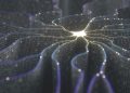 The New Period of AI Facilities