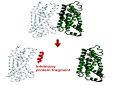 AI system predicts protein fragments that may bind to or inhibit a goal | MIT Information