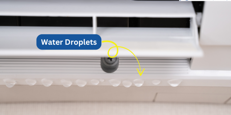 Prime 6 Causes of Water Leaks From an Air Conditioner: 4 Options